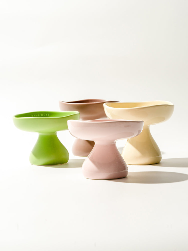 Ceramic Mushroom Bowl - Pawscode