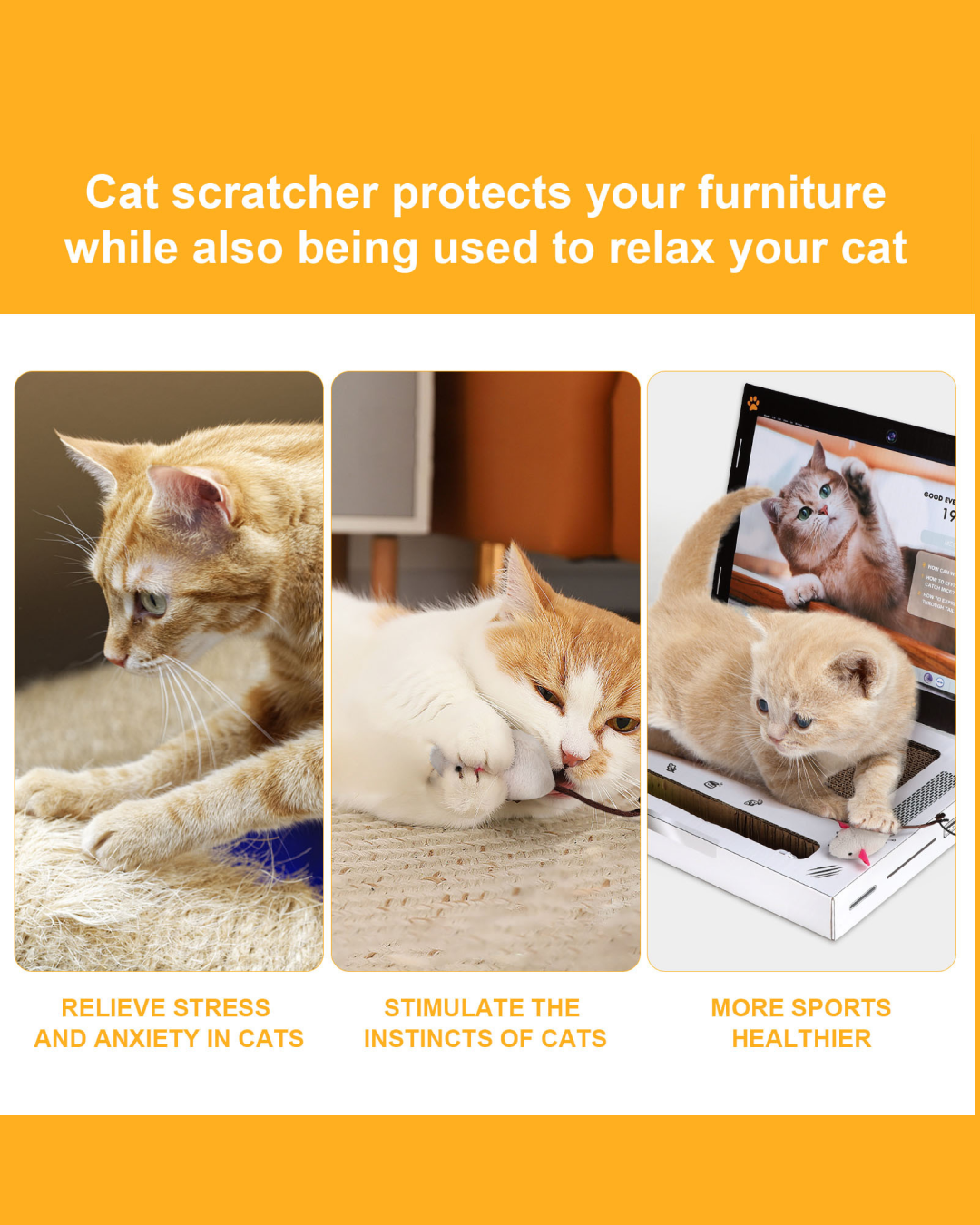 Notebook Cat Scratcher Game Console