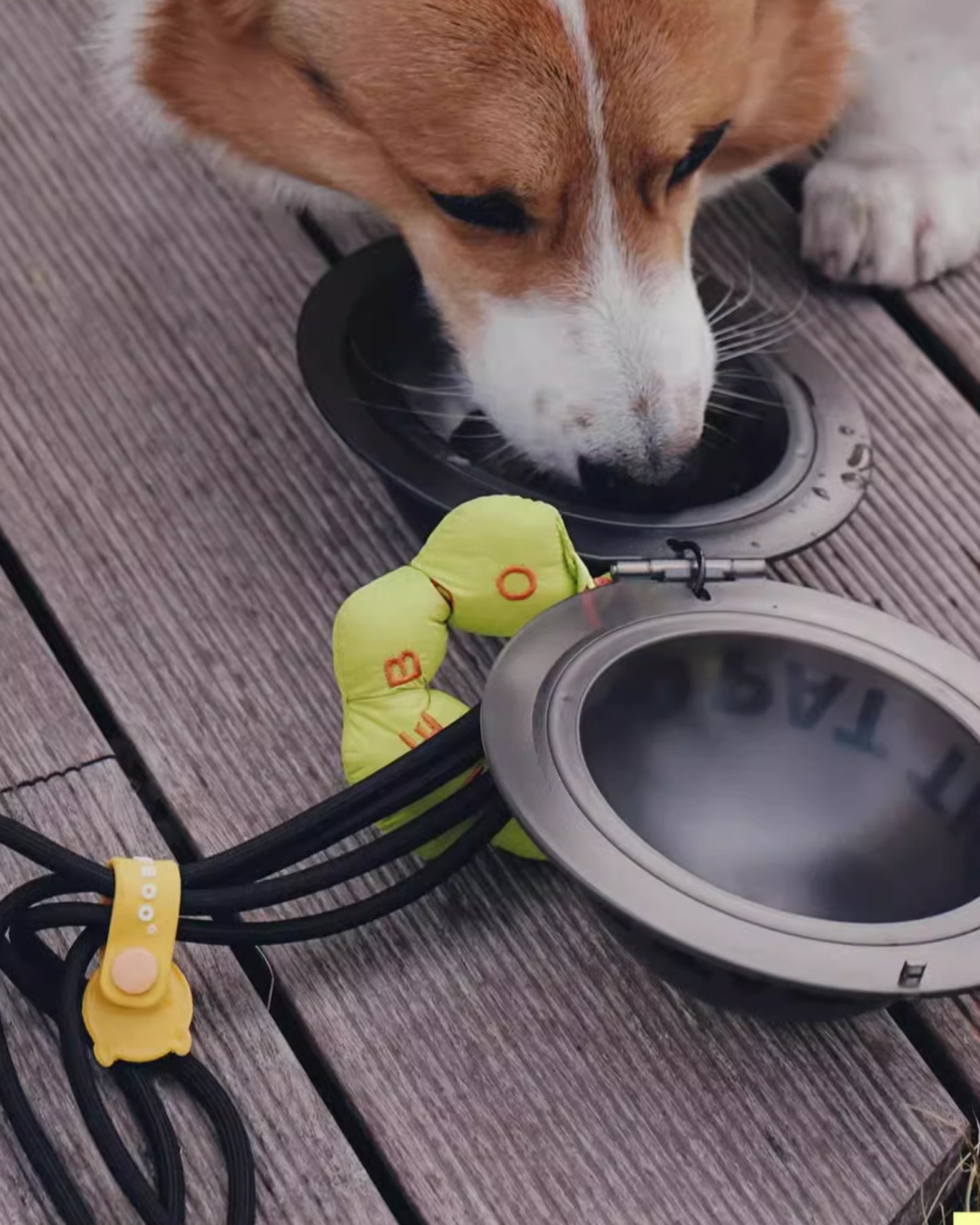 Planet Portable Dopamine Cute Pet Bowl