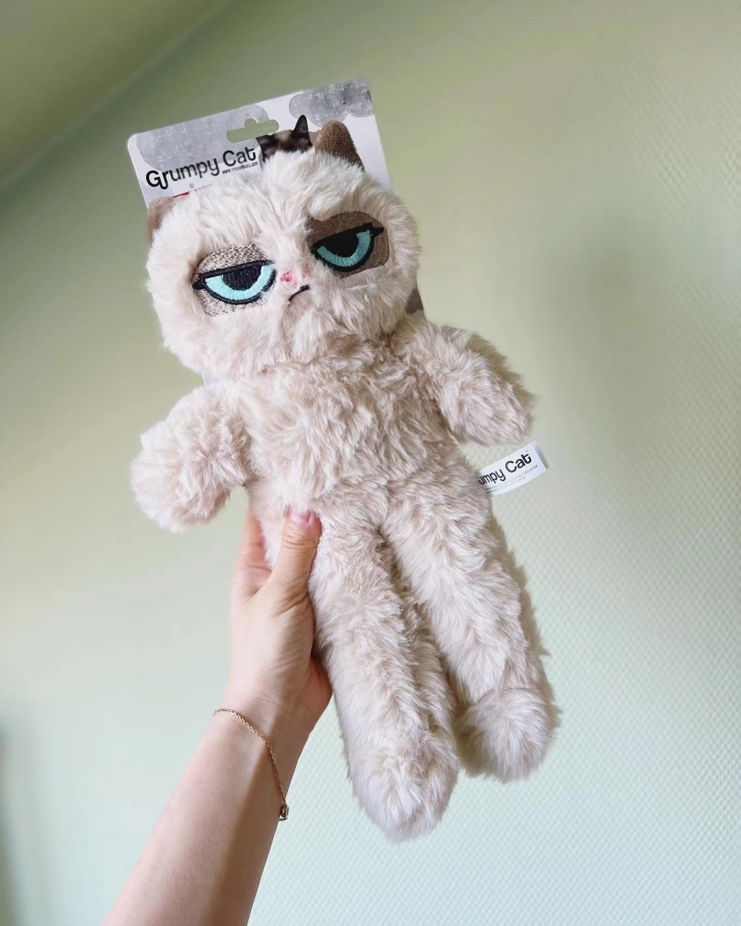 Rosewood Grumpy Cat Series Floppy Plush Toy