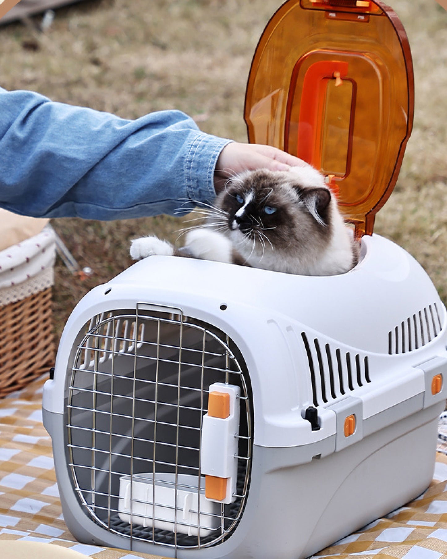 Stylish Pet Travel Carrier